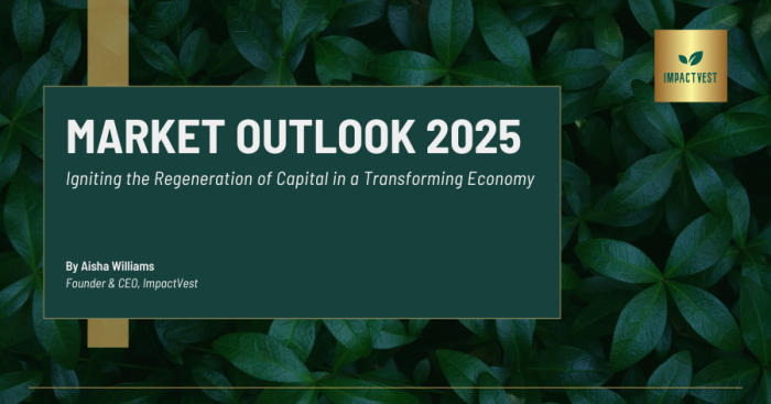 ImpactVest 2025 Market Outlook